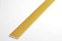 Штанга плоская алюминий ШПл 01